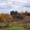 Litchfield, NY