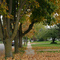 Autumn Sidewalk