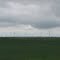 Fields of Windmills near Carroll, IA
