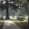 Live Oak Cemetery