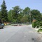 e. newman avenue