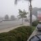 Foggy