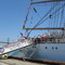 USCG Barque Eagle in San Pedro, CA USA July 2008