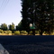 Highway 26, West Point, CA