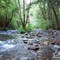 South Fork, Mokelumne River