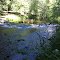 Mokelumne Beauty