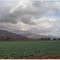 Piru, California