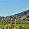 Fillmore, CA