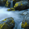 Alder Creek