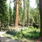 Yosemite National Park