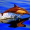 Dolphin at Play