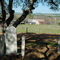Churchyard Chinese Camp