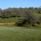 Rolling Hills of Sonora