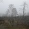 The Fog is rolling in
