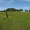Green Country near Sonora
