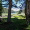 View from the cabin Alexander