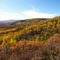 Fall Foliage - Grand Mesa, Colorado