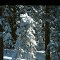 Winter on The Grand Mesa