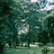 Gates Park