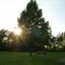 Castle Hill Park