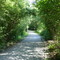 Hartman Reserve Trails