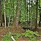 Metroparks