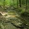 Nature's Staircase