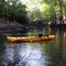 Big Cypress Creek near Jefferson, TX upstream from Hwy 59