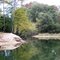 Big Cypress