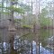 Black Cypress Bayou, 3.31.2012