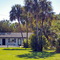 2009 Along US 19 Florida "Early strip mall"