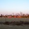 Red Farm