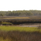 Yankeetown, Florida