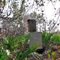 Birdhouse Near Christmas Creek