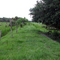 Manmade berm on the river
