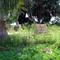 Old House Foundation On East Side of Lake Harney