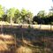 Old Fenced In Area - Maybe Old Homestead