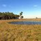 Pond and Mound - Dry This Day