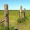 Old Fence Missing Gate