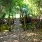 Bridge Crossing Orlando Cleaned Water Stream to Florida Trail
