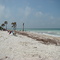 Beach on Honeymoon Island