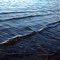 Ripples