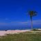 Honeymoon Island