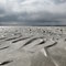 Sand ripples