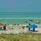 Honeymoon Island Dunedin Florida