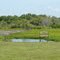 Catch & release pond at River Ranch