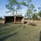 Shelter on Florida Trail at Seminole Forest