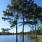 Bear Pond