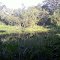 Wekiva River at the end of the Cross Seminole Trail