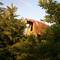 Old barn at the end of the Road, June 28, 2008